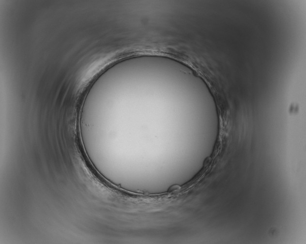 X0000111450005200907201101