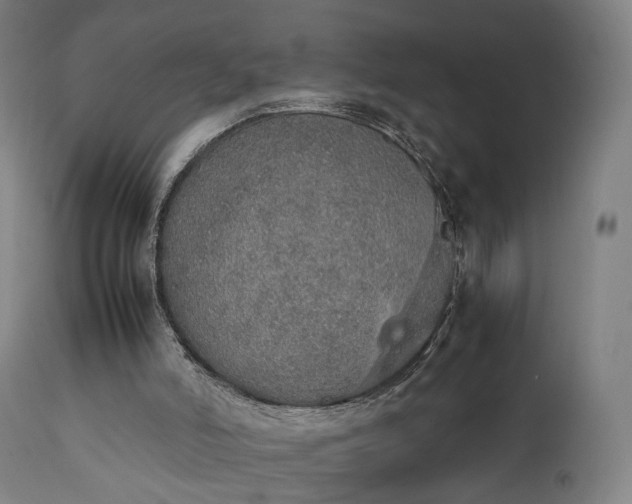 X0000111450006200907201101