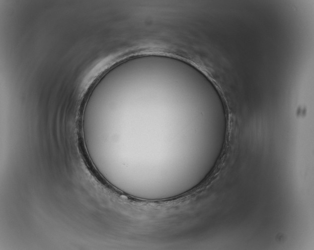 X0000111450007200907201101