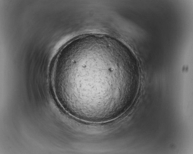 X0000111450008200907201101