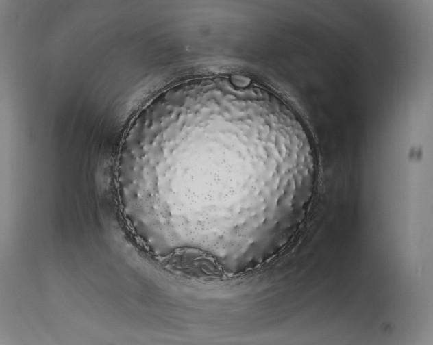 X0000111450010200907201101