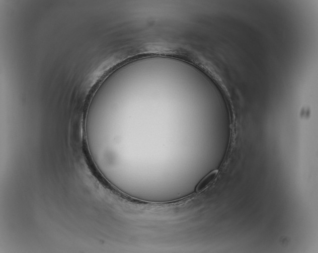 X0000111450011200907201101