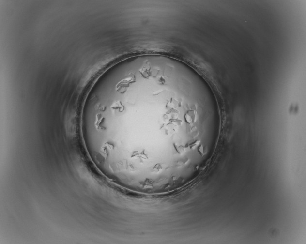 X0000111450012200907201101