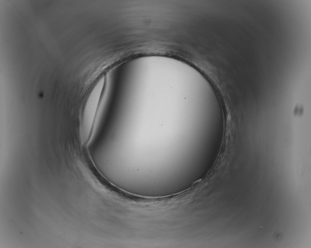 X0000111450013200907201101