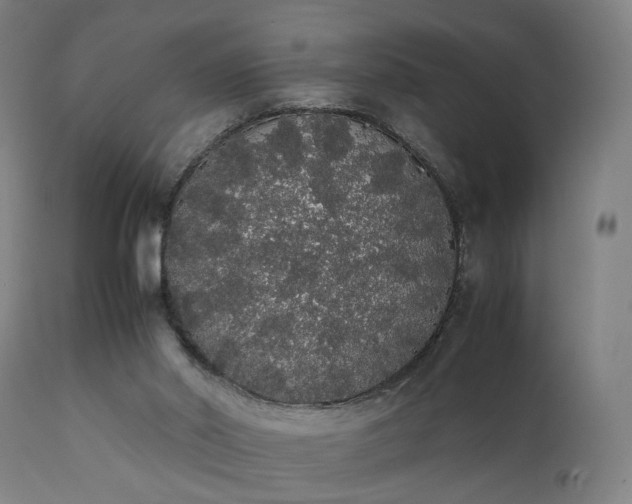 X0000111450014200907201101