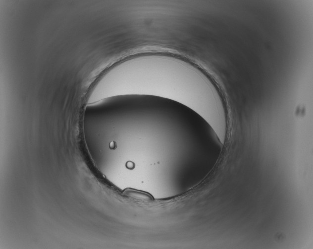 X0000111450015200907201101