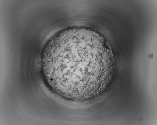 X0000111450016200907201101