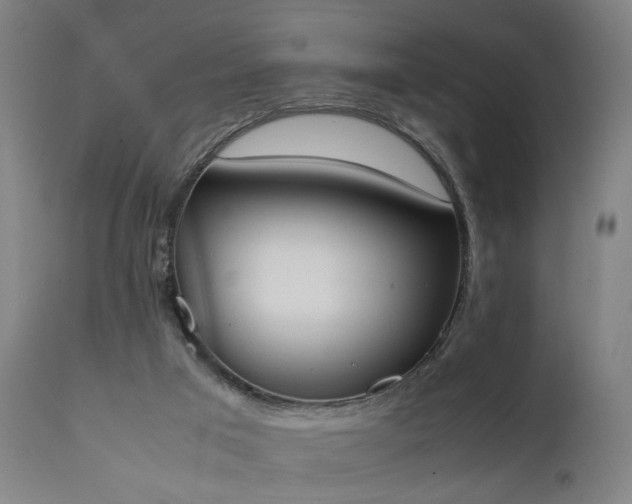 X0000111450017200907201101