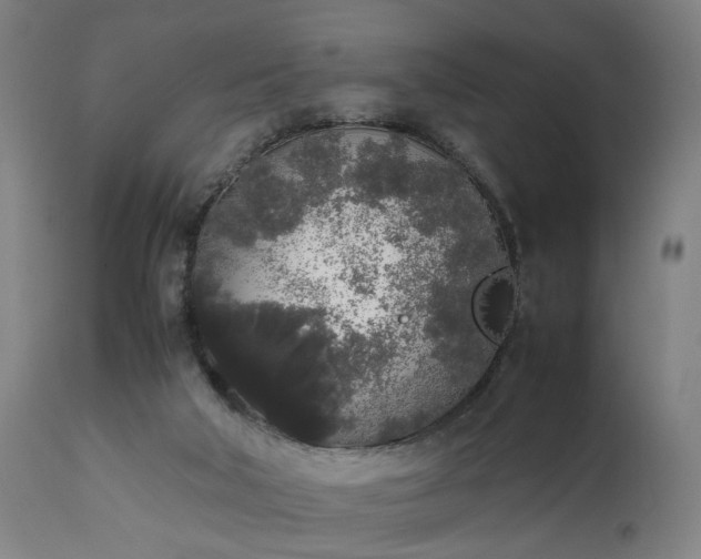 X0000111450018200907201101