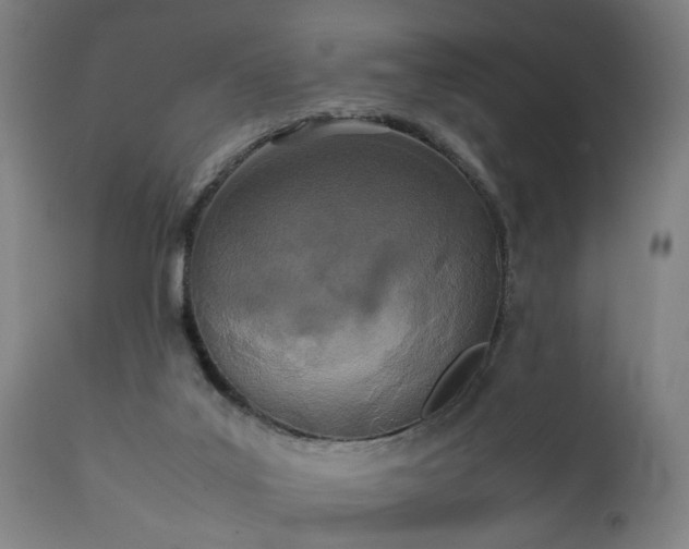 X0000111450019200907201101