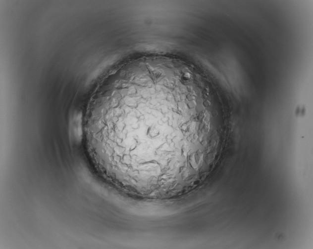 X0000111450020200907201101