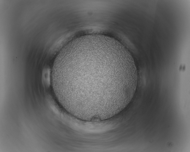 X0000111450022200907201101