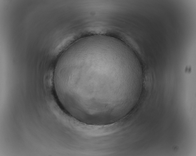 X0000111450023200907201101