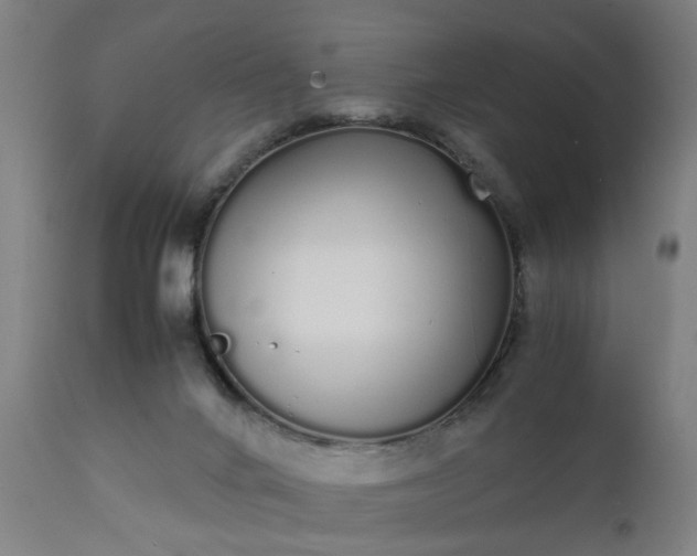 X0000111450024200907201101