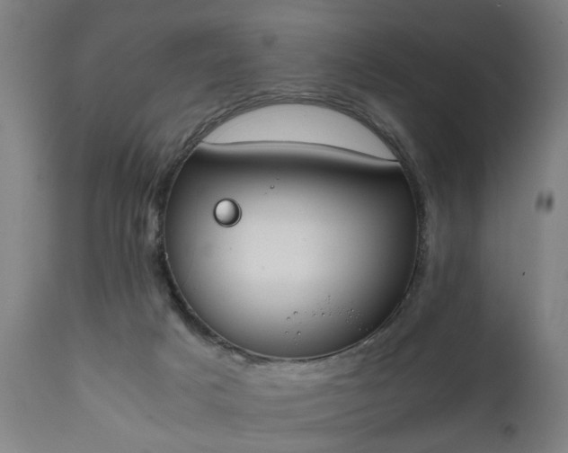 X0000111450025200907201100