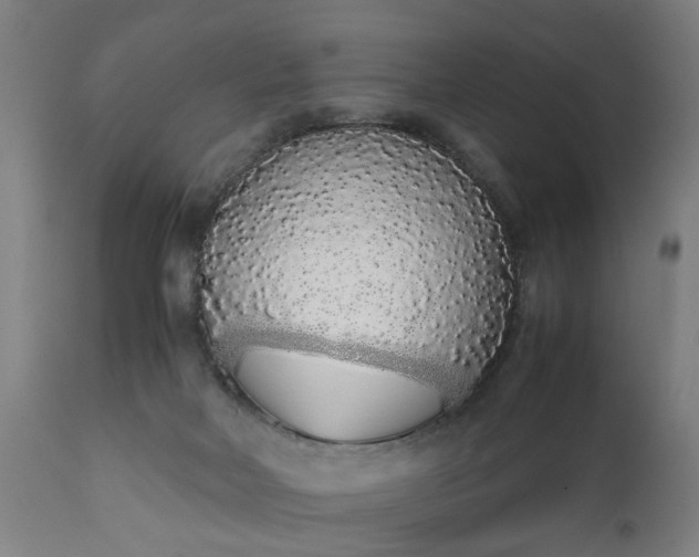 X0000111450026200907201100