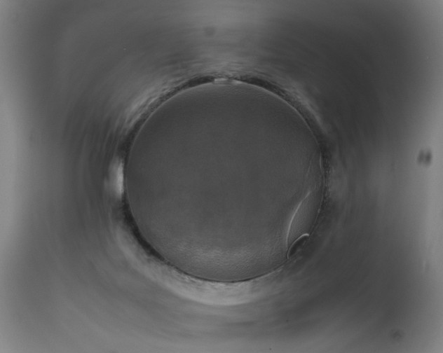 X0000111450027200907201100