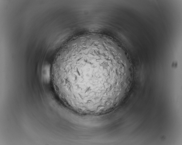 X0000111450028200907201100