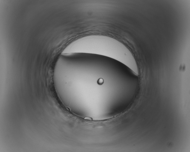 X0000111450029200907201100