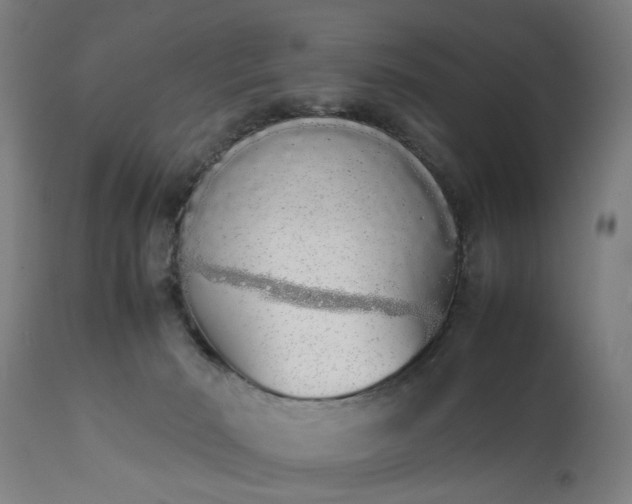 X0000111450030200907201100