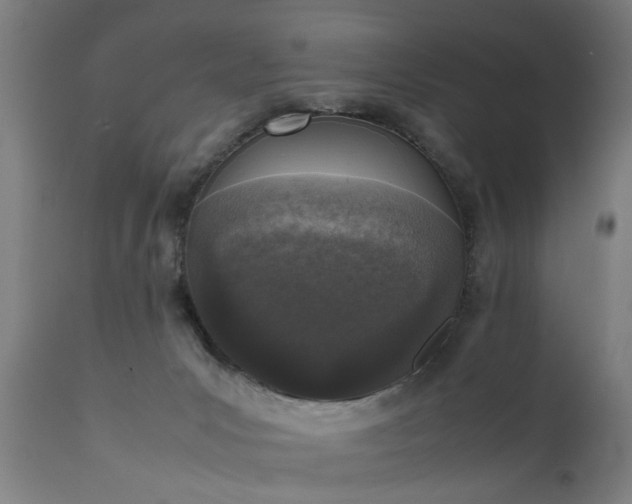 X0000111450031200907201100