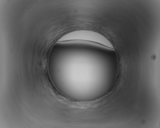 X0000111450033200907201100