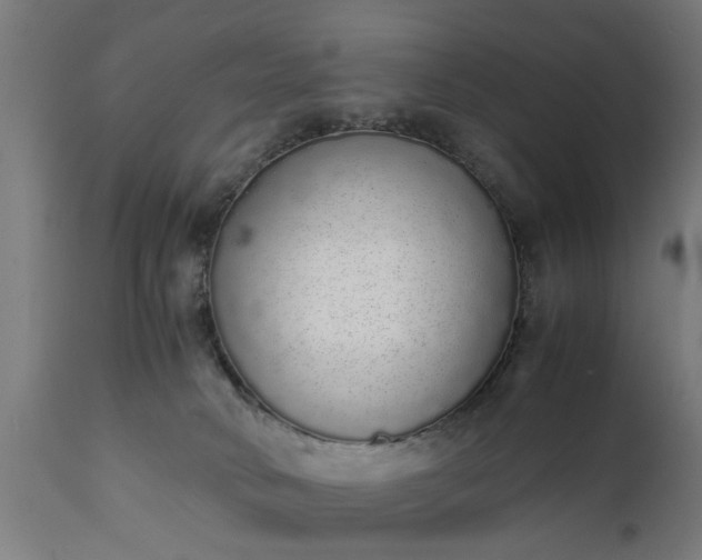 X0000111450034200907201100