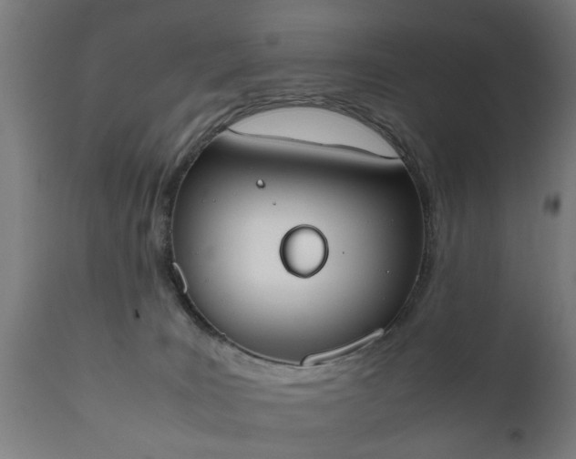X0000111450035200907201100