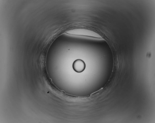 X0000111450036200907201100