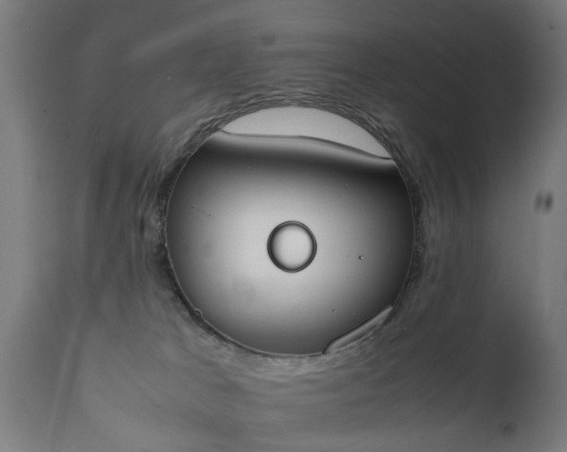 X0000111450037200907201100