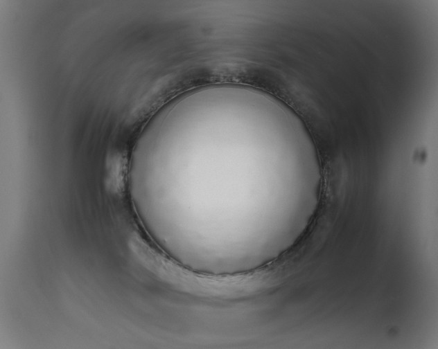 X0000111450038200907201100