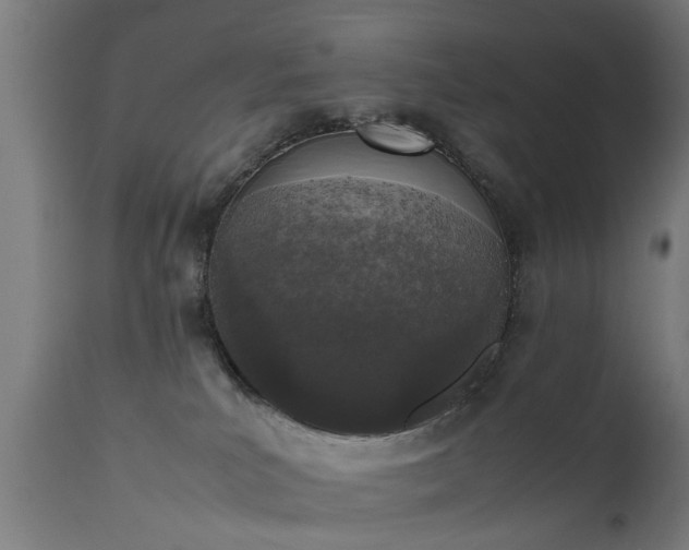 X0000111450039200907201100