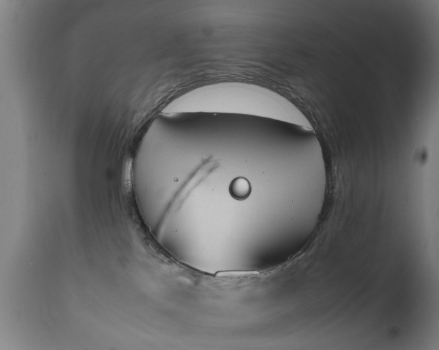 X0000111450041200907201100