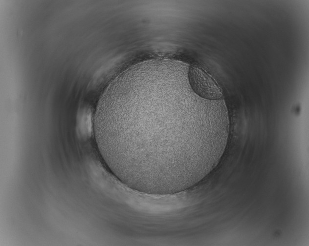 X0000111450042200907201100