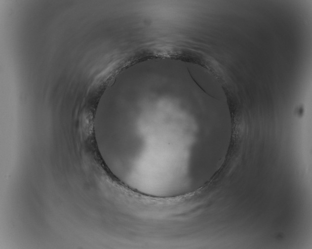 X0000111450043200907201100