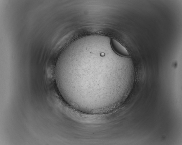 X0000111450044200907201100