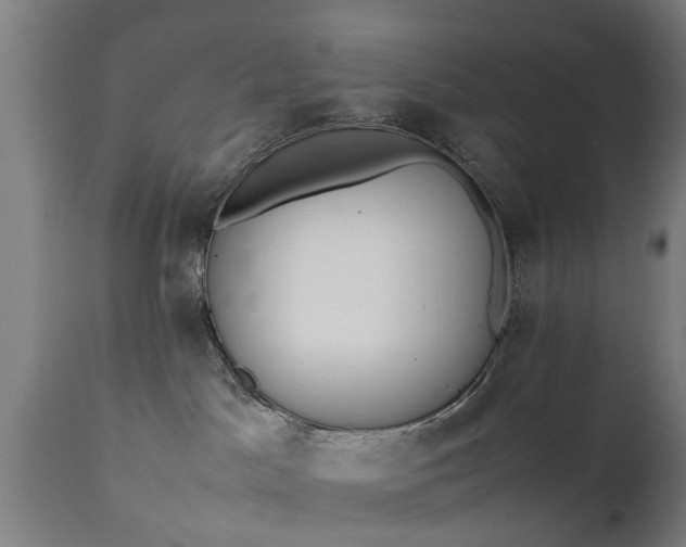 X0000111450045200907201100