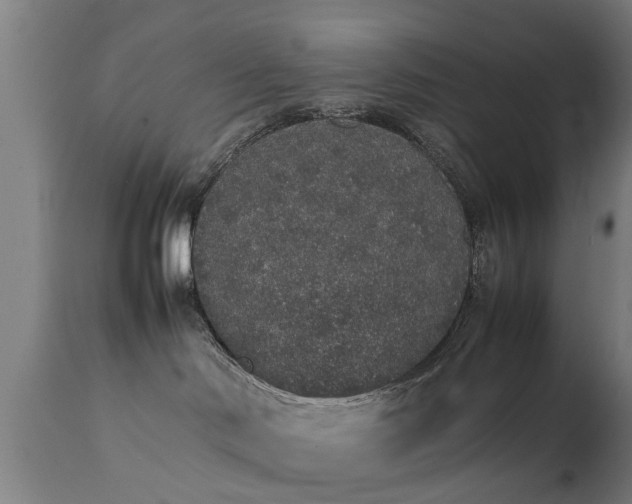 X0000111450046200907201100
