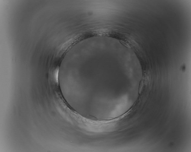 X0000111450047200907201100
