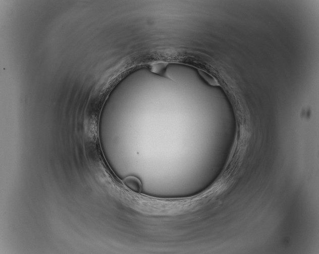 X0000111450048200907201100