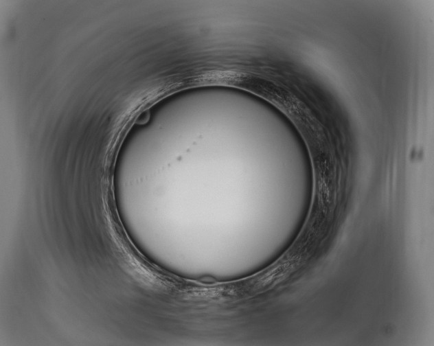 X0000111450049200907201059
