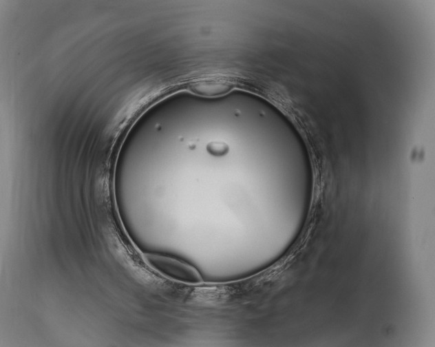 X0000111450050200907201059