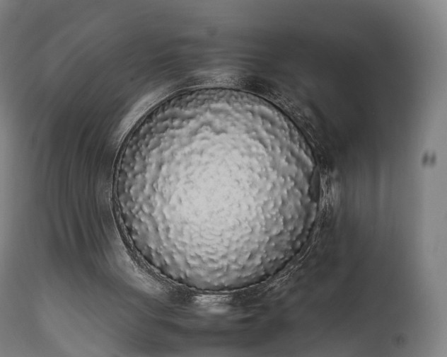 X0000111450051200907201059