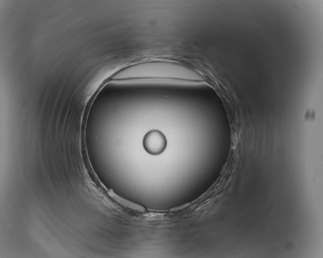 X0000111450052200907201059