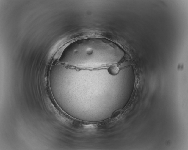 X0000111450053200907201059