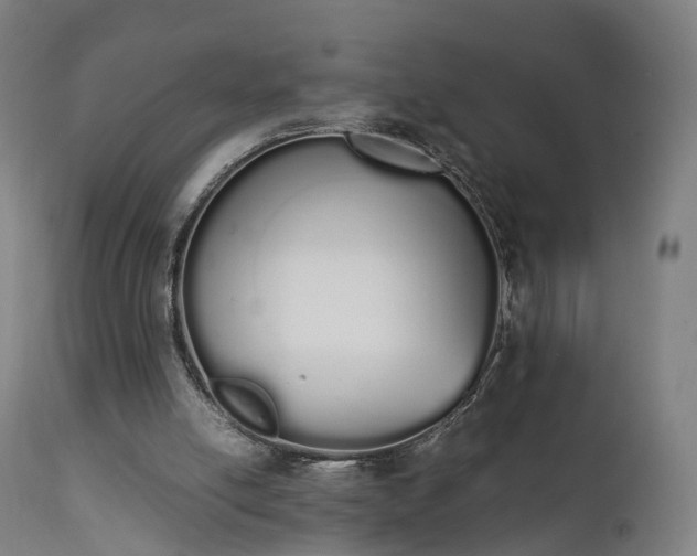 X0000111450054200907201059