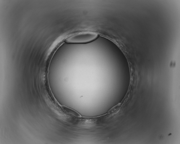 X0000111450056200907201059