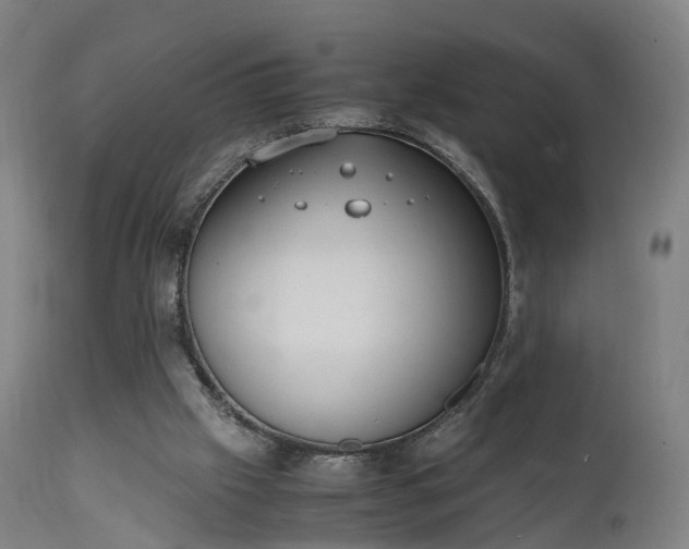 X0000111450057200907201059