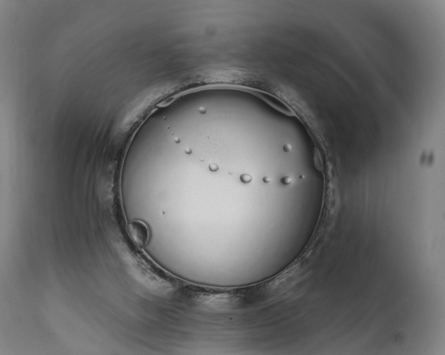 X0000111450058200907201059