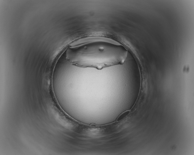 X0000111450059200907201059